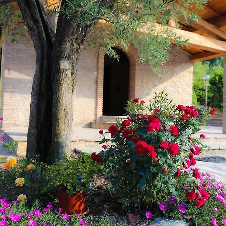 Agriturismo La Tana Città di Castello Exterior foto