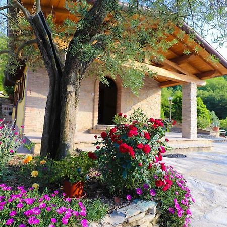 Agriturismo La Tana Città di Castello Exterior foto