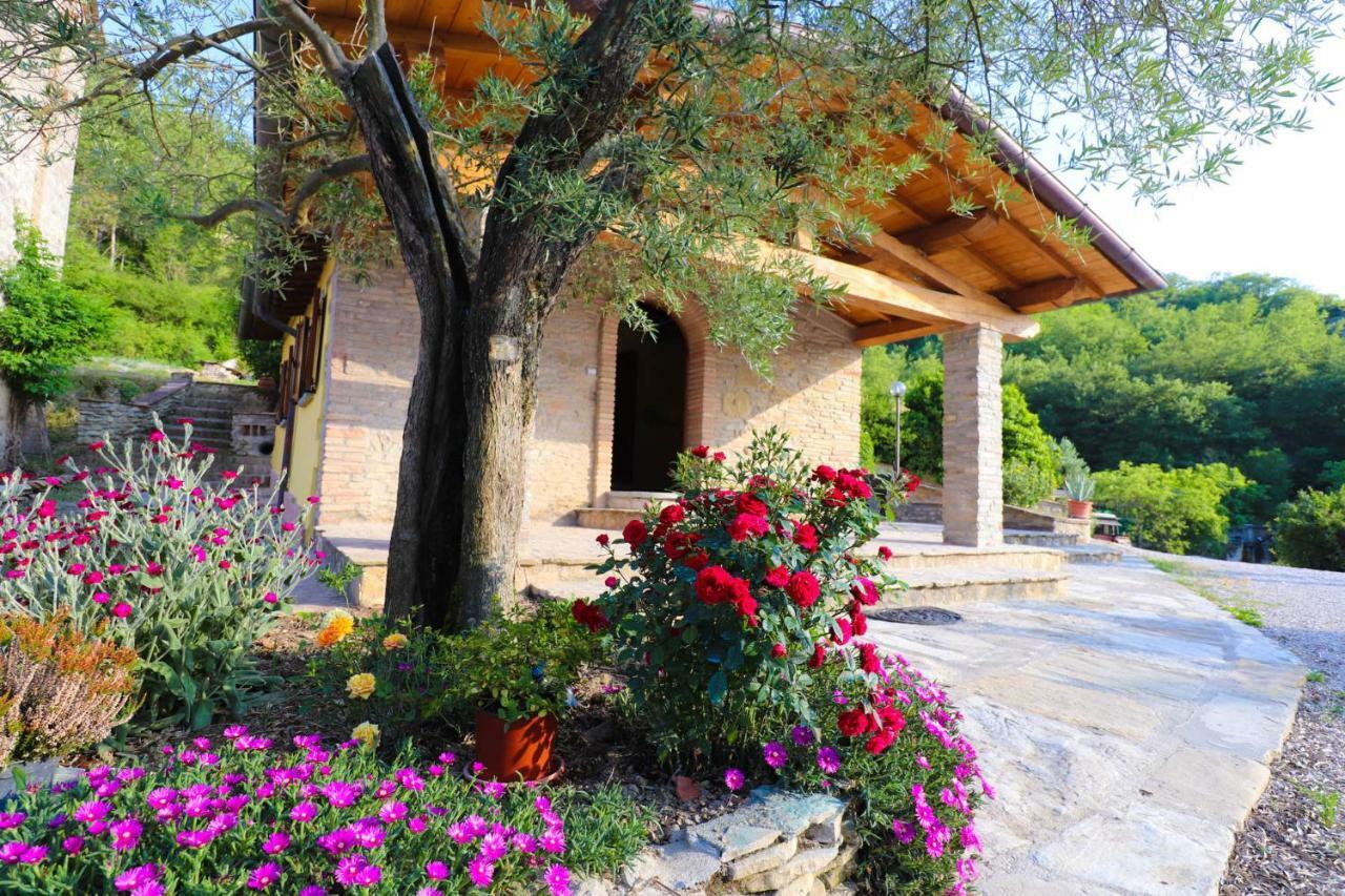 Agriturismo La Tana Città di Castello Exterior foto