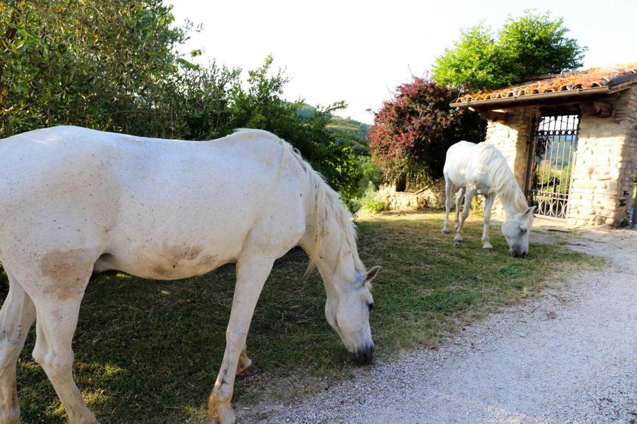Agriturismo La Tana Città di Castello Exterior foto